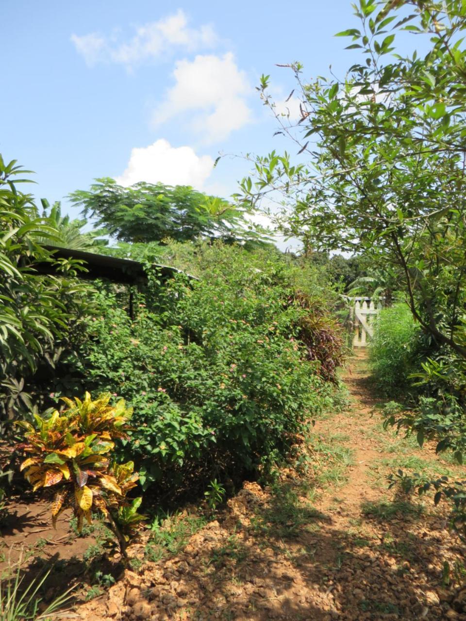 Bahati Diani House Glamping Diani Beach Dış mekan fotoğraf